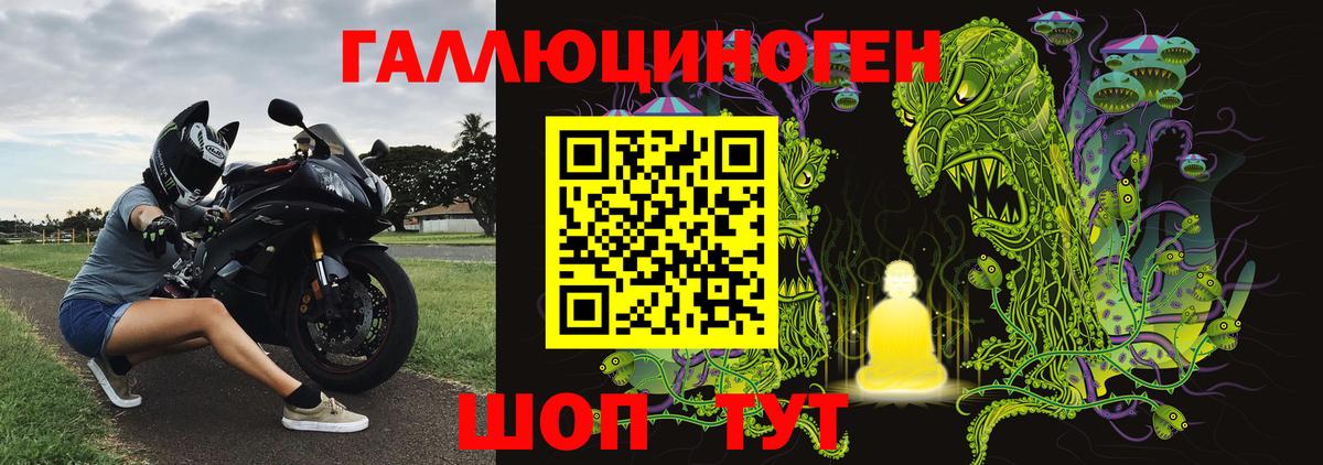 где продают наркотики  Псилоцибиновые грибы Cubensis  Вход с VPN  Галлюциногенные грибы Psilocybe  Бийск 